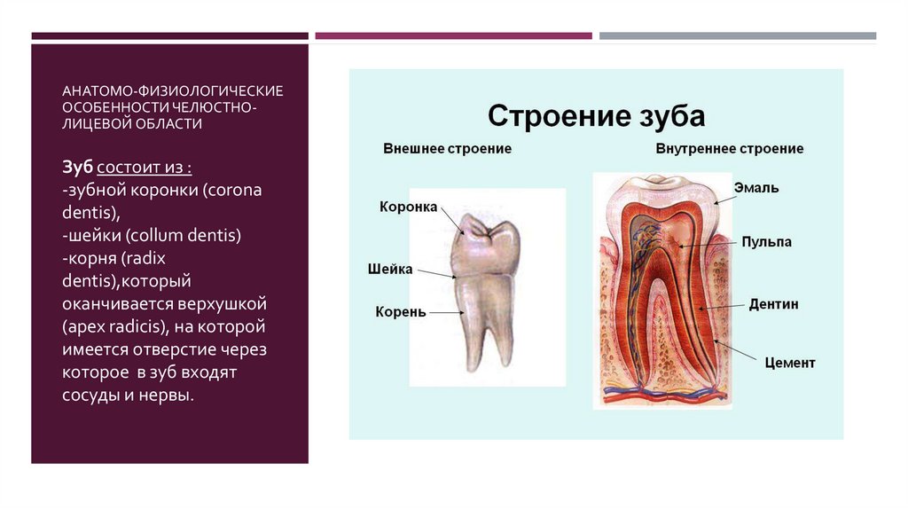 Функциональные нарушения при повреждениях челюстно лицевой области презентация