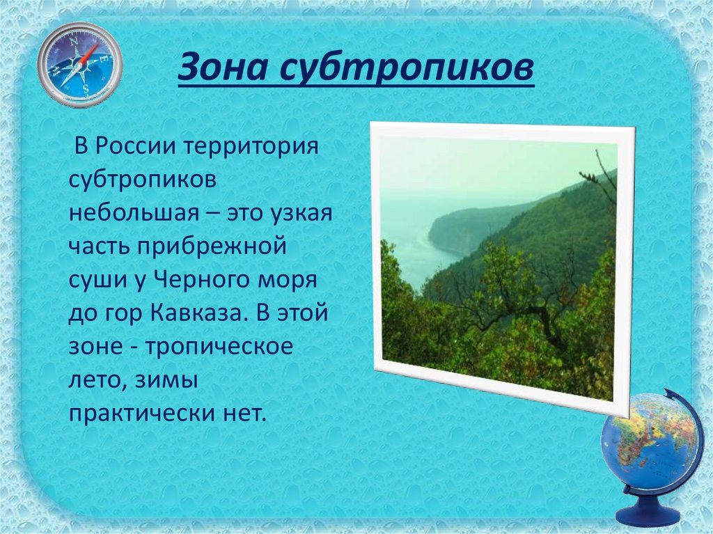 Субтропики 8 класс презентация полярная звезда. Субтропическая зона доклад. Природные зоны России субтропики. Зона субтропиков Черноморское побережье. Природные условия субтропиков.