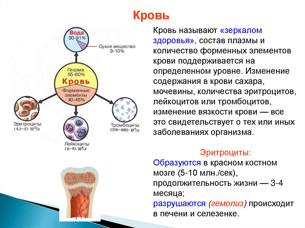 Схема переливания плазмы крови