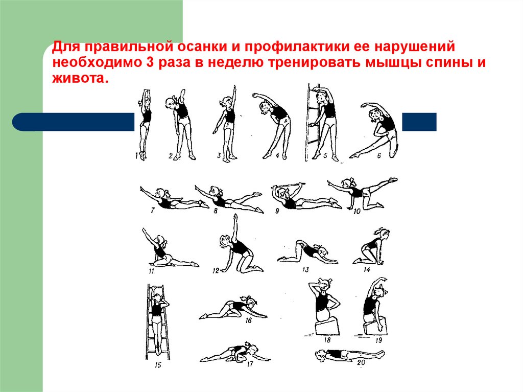 Презентация на тему правильная осанка залог здоровья