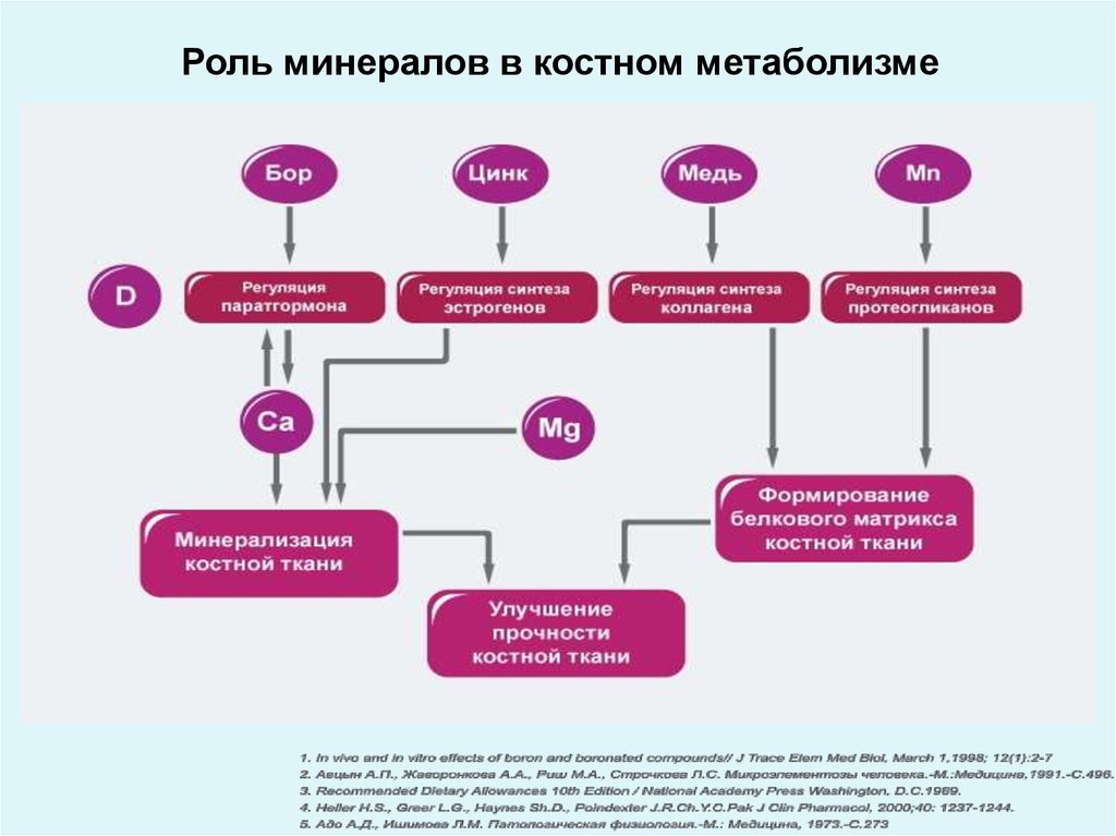 Обмен веществ в костной ткани. Саркопения механизмы развития. Метаболические маркеры саркопении. Саркопении.