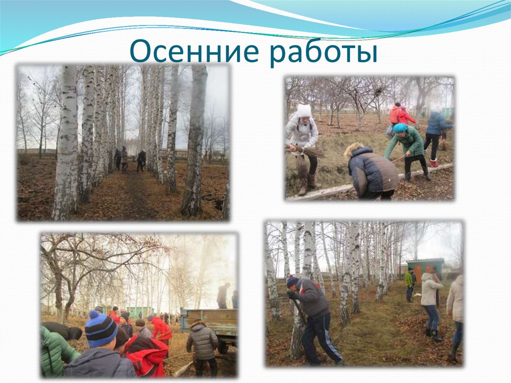 Осенние работы