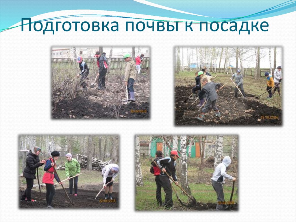 Подготовка почвы к посадке