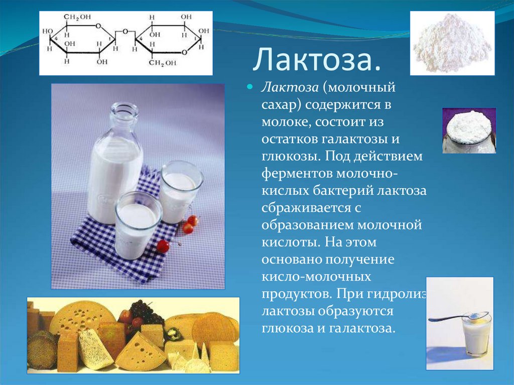 Что такое молочный белок. Лактоза. Лактоза в молочных продуктов. Лактоза молочный сахар. Лактоза и молочнокислые бактерии.