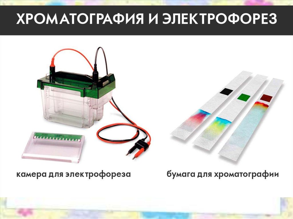 Количественный электрофорез. Хроматография и электрофорез. Электрофорез метод изучения клеток. Электрофорез клетки. Методы хроматографии и электрофореза.