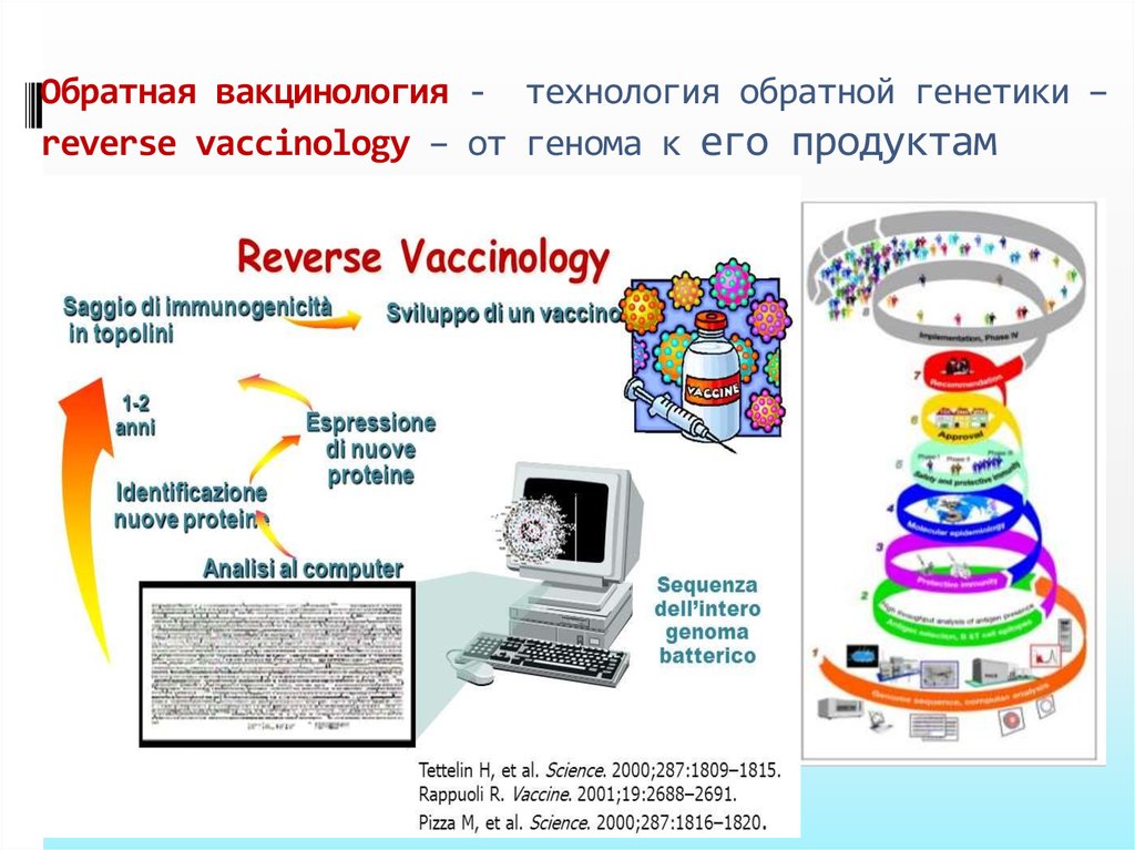 Вакцинопрофилактика инфекций - online presentation