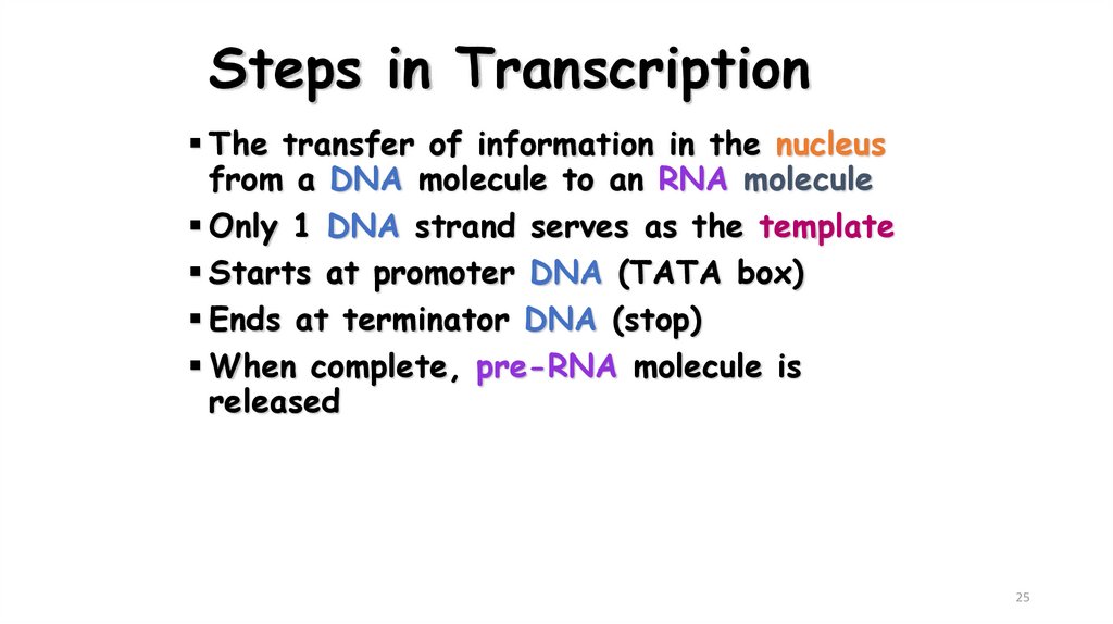 Steps in Transcription