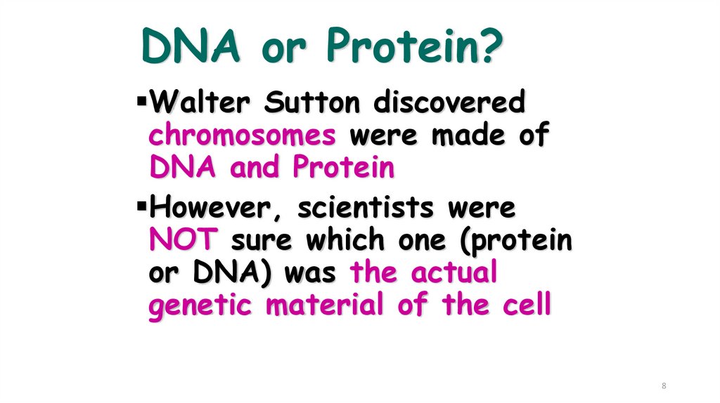 DNA or Protein?