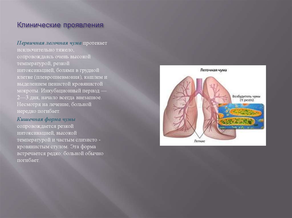 Клинические проявления