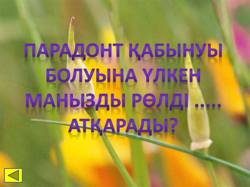 Парадонт қабынуы болуына үлкен манызды рөлді ..... атқарады?