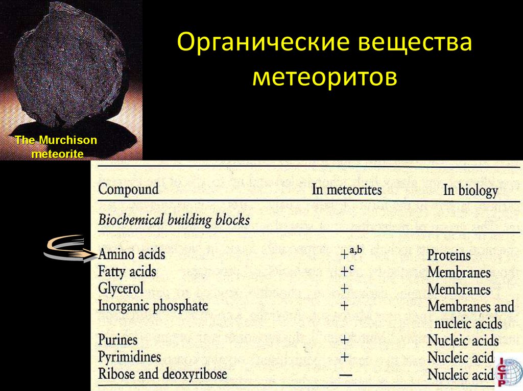 Органические вещества метеоритов