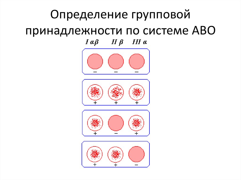 Система аво и резус