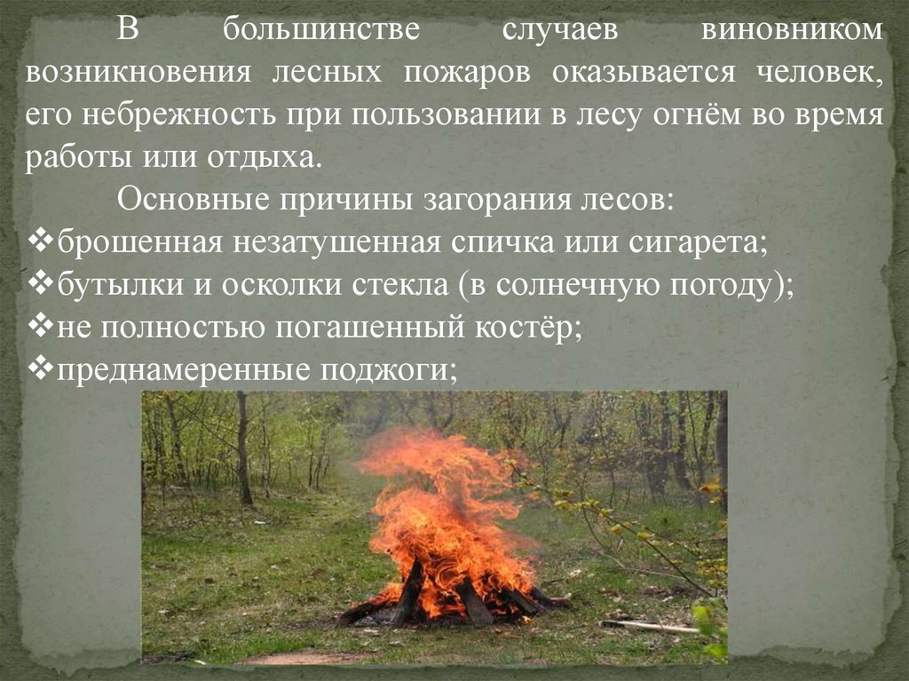 Природный пожар определение
