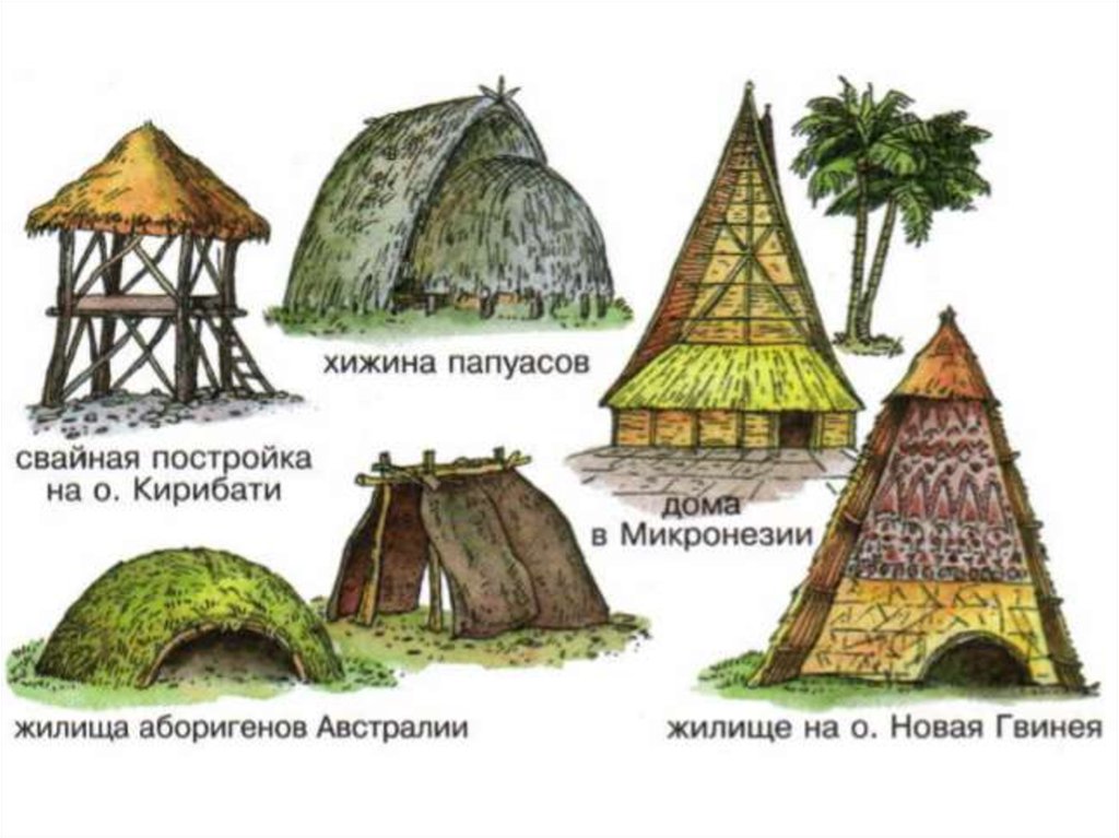 Первые построенные жилища человека
