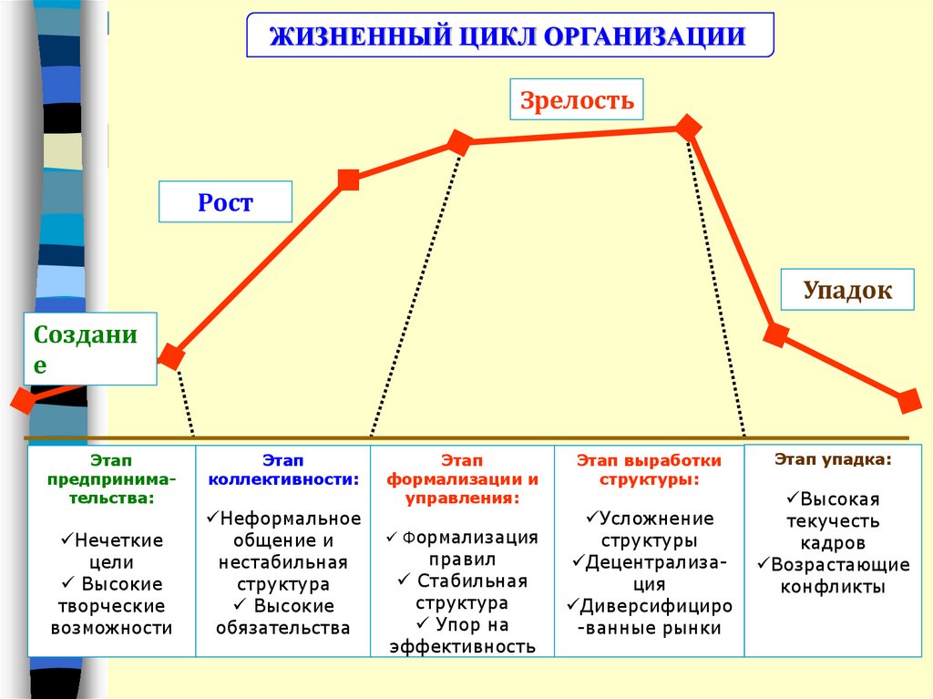 На стадии роста организации на первый план в деятельности руководителя выступают