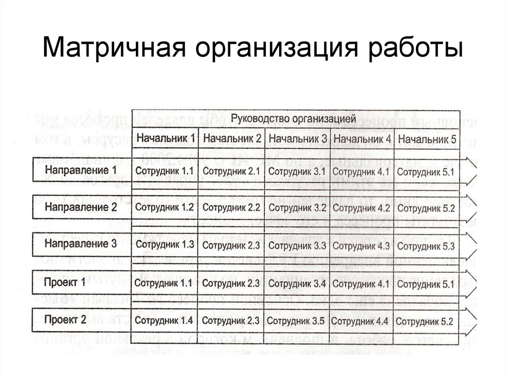 Организационная матрица образовательного процесса на день образец