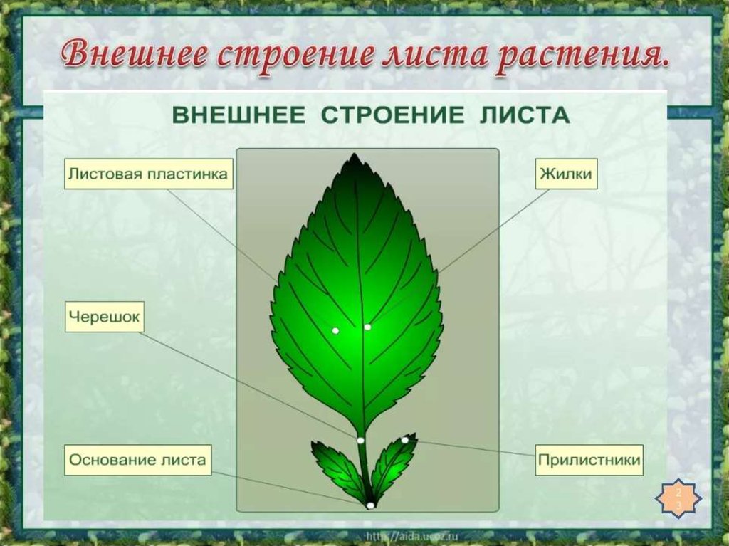 Составная часть презентации называется слайд лист рисунок