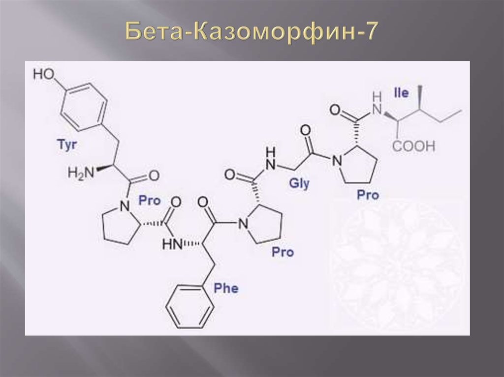 Бета ай. Бета казоморфин 7. Казоморфин биохимия. Казоморфин 7 физиологическое действие. Казоморфин формула.