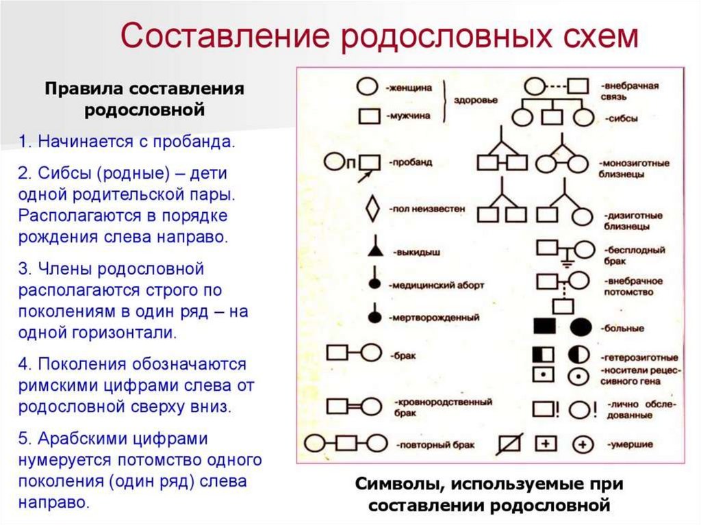 Отсутствие генетического родства выполнение различных функций единый план строения егэ