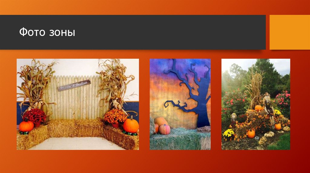 Фото зоны
