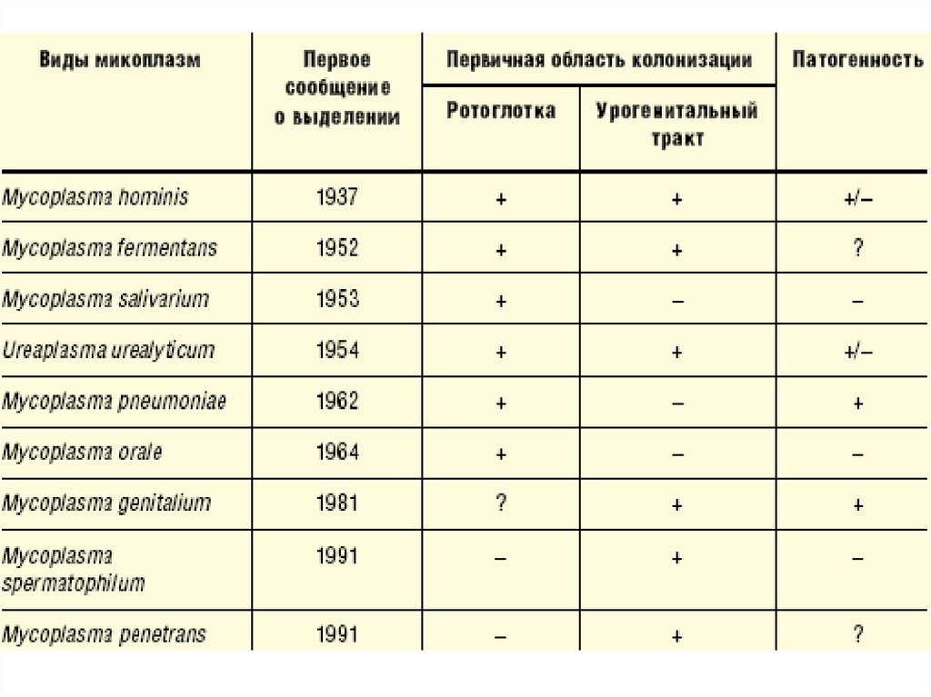 Микоплазма у мужчин. Микоплазмы виды. Разновидности микоплазм. Микоплазмы Тип. Микоплазма Hominis и genitalium.