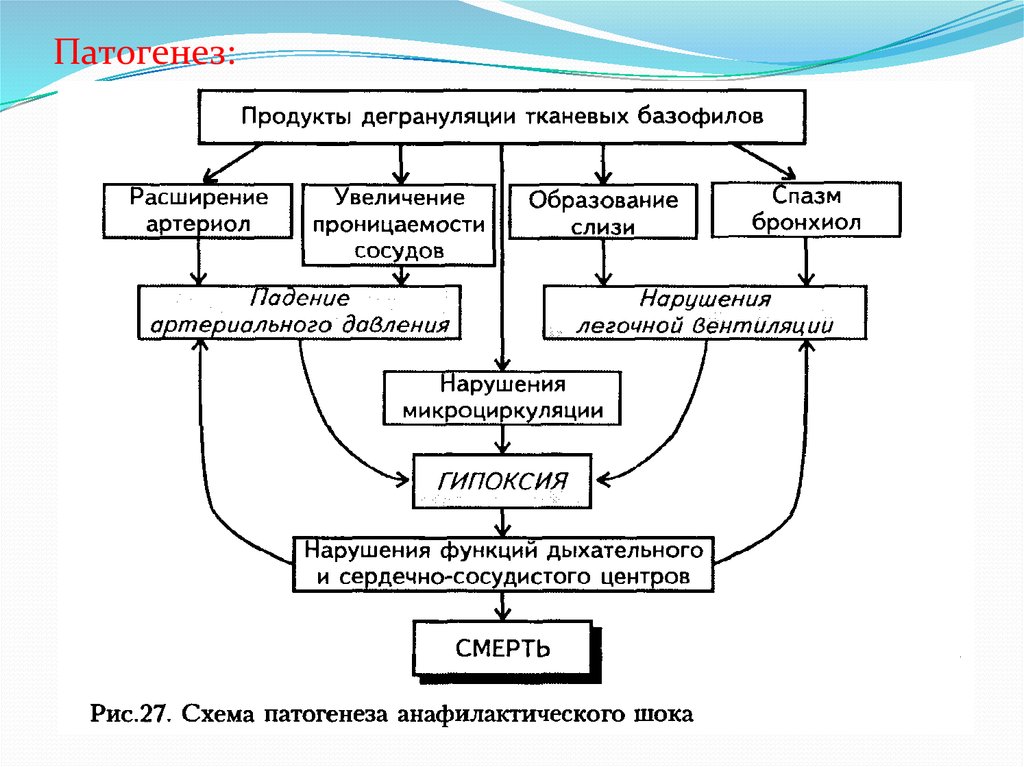 Анафилактический шок схема