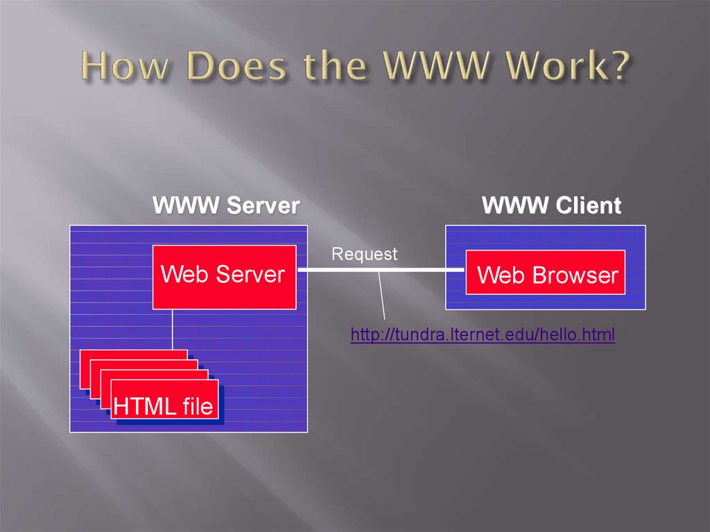 How Does the WWW Work?