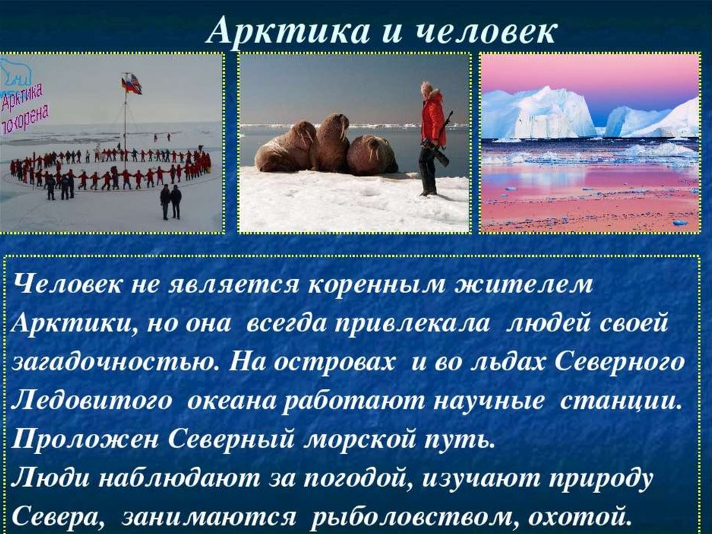 Арктические пустыни изменение природы человеком. Арктический презентация. Человеческая деятельность в арктических пустынях. Занятия населения в Арктике. Деятельность человека в Арктике.