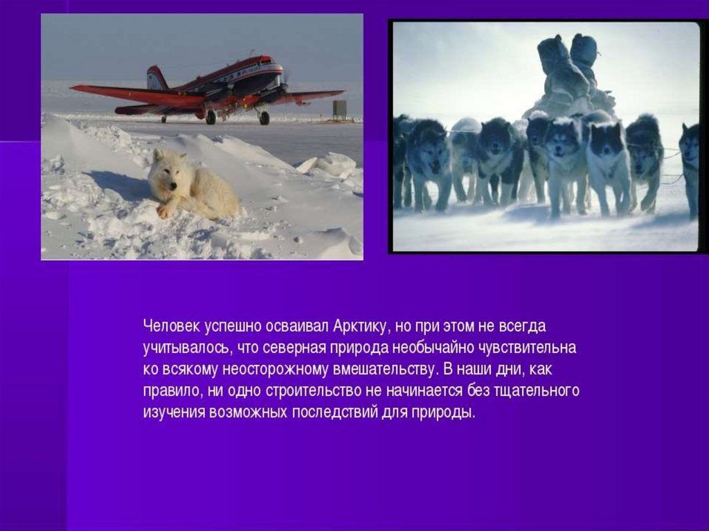 Арктические пустыни изменение природы человеком. Деятельность в Арктике. Влияние человека на арктические пустыни. Влияние человека на природу арктических пустынях. Деятельность человека арктических пустынь.