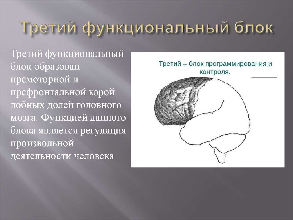 Третье нарушение. Третий функциональный блок (по а.р. Лурия) -. Третий функциональный блок. Блоки мозга по Лурия. Поражения третьего функционального блока мозга.