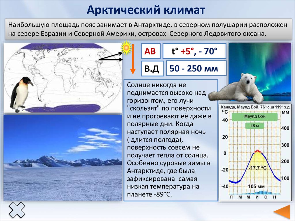 Арктический климатический пояс является переходным