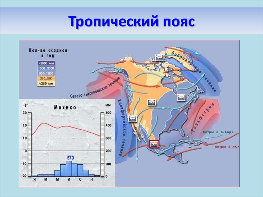 Тропический северный пояс осадки