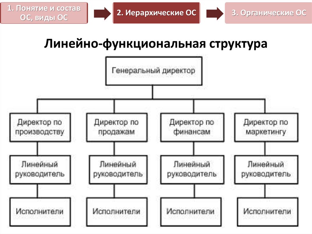 Структура организации презентация