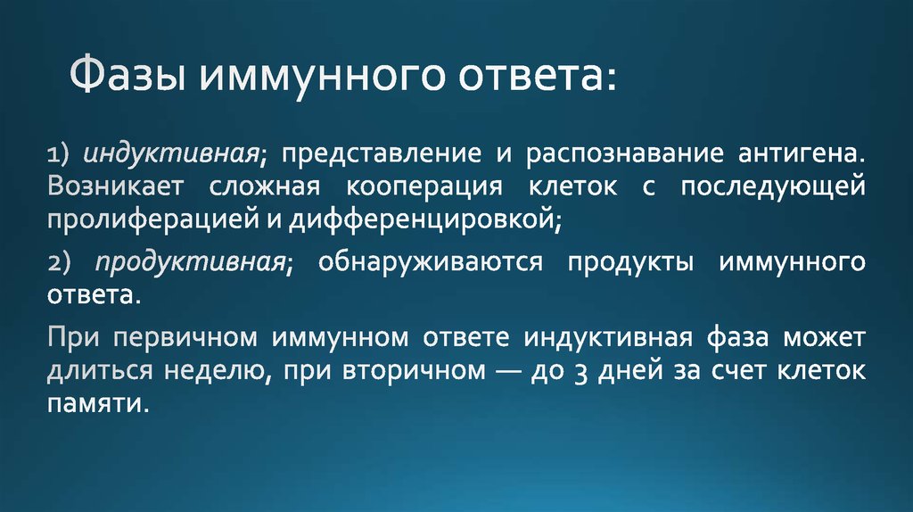 Фазы иммунного ответа: