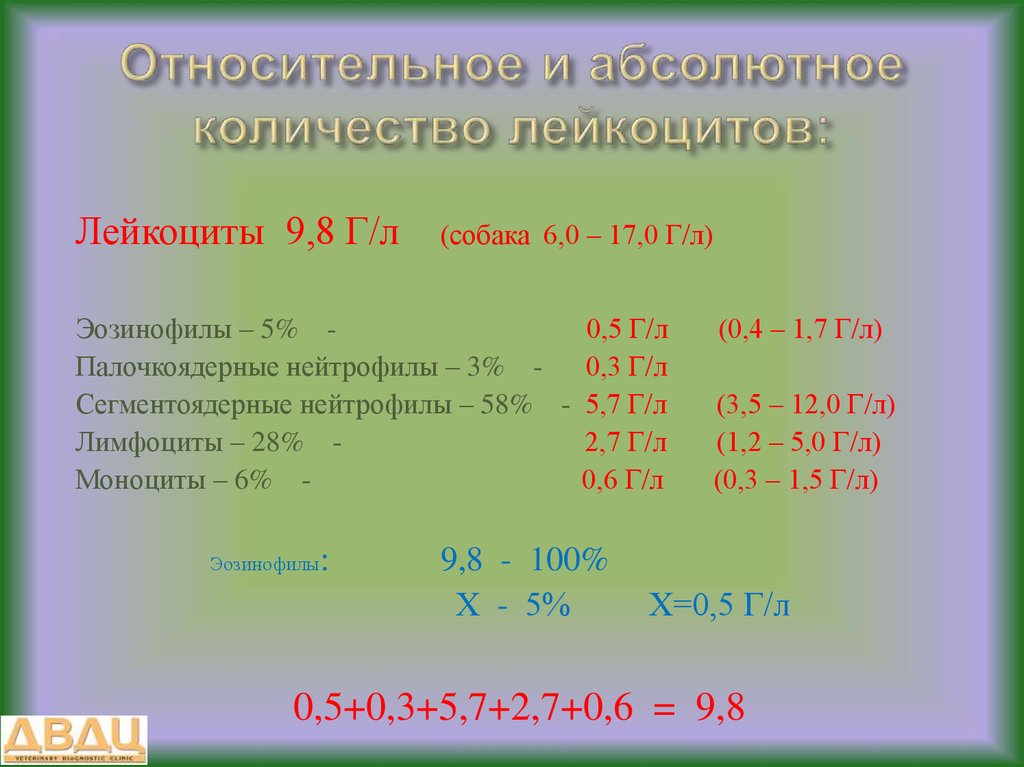 Относительная численность. Абсолютное и относительное количество лейкоцитов. Относительные и абсолютные числа лейкоцитов. Относительное количество лейкоцитов. Абсолютное количество лейкоцитов это.