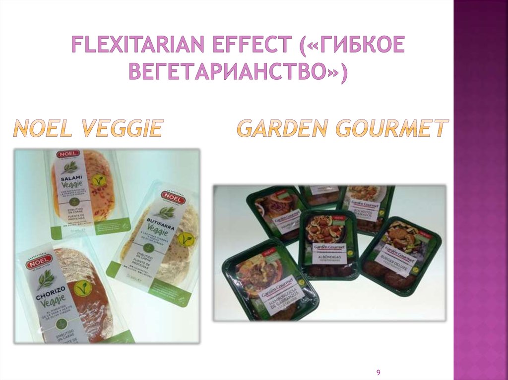 Flexitarian effect («Гибкое вегетарианство») Noel Veggie Garden Gourmet  