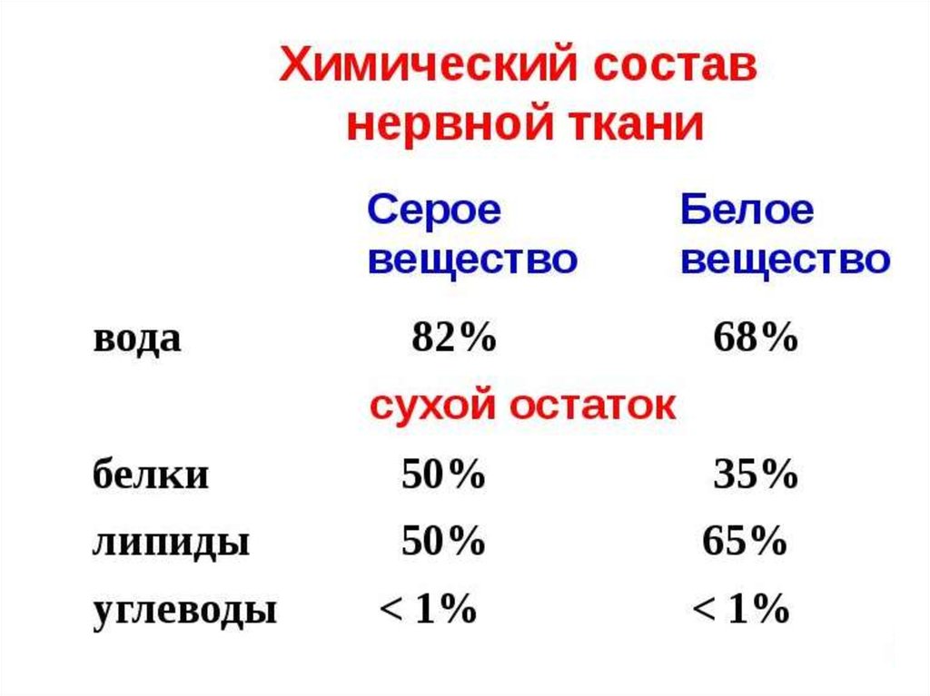 Химический состав ткани. Химический состав нервной ткани биохимия. Хим состав нервной ткани. Особенности химического состава нервной ткани. Особенности химического состава нервной ткани биохимия.