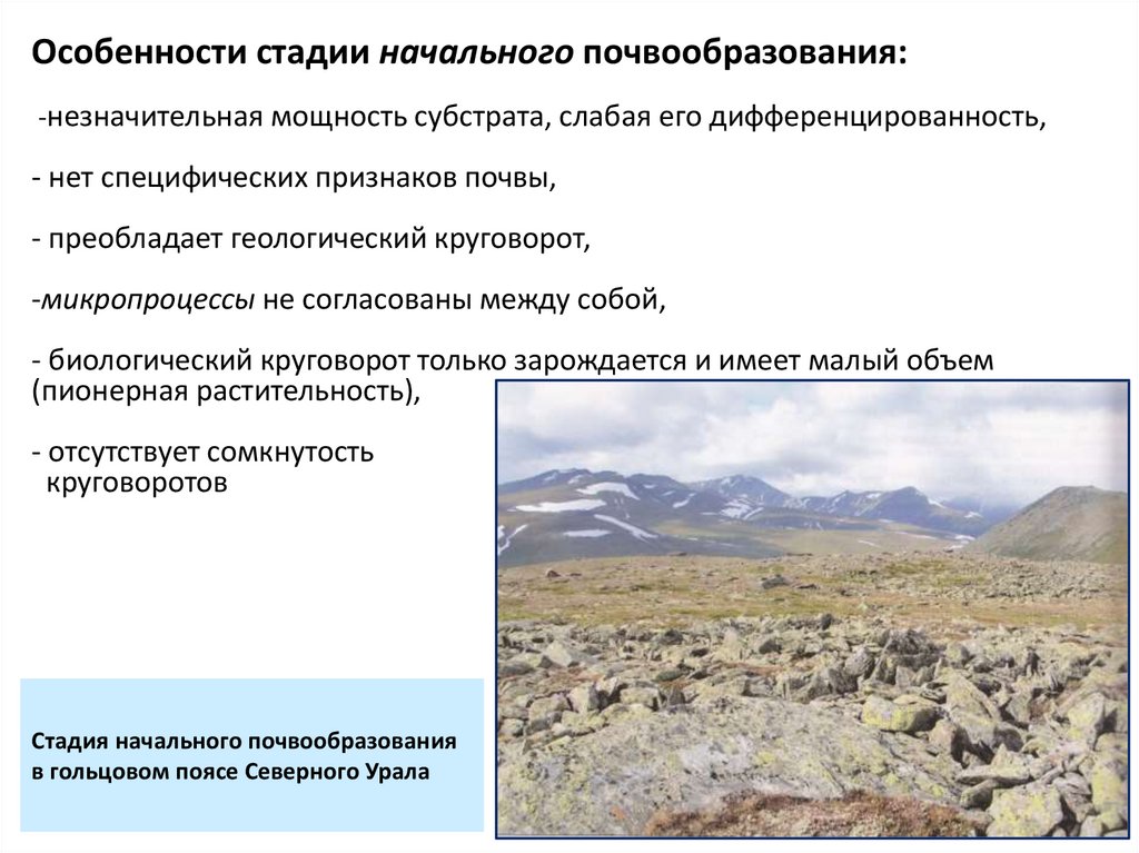 Стадия начального почвообразования в гольцовом поясе Северного Урала