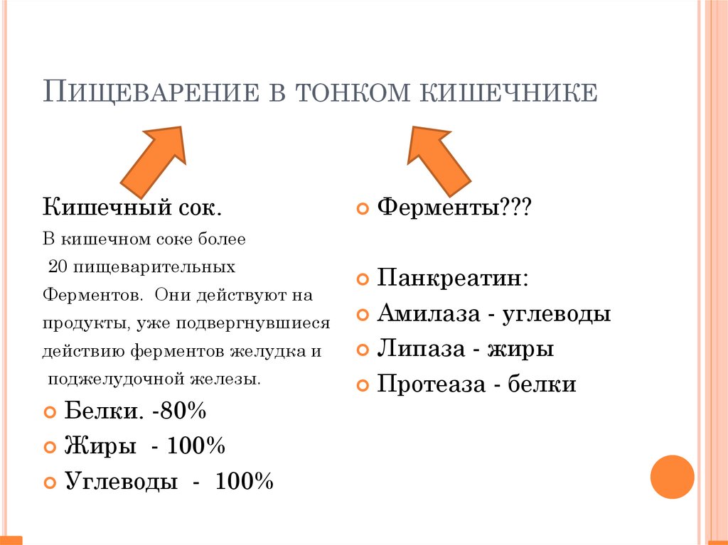 Презентация на тему пищеварение в кишечнике 8 класс