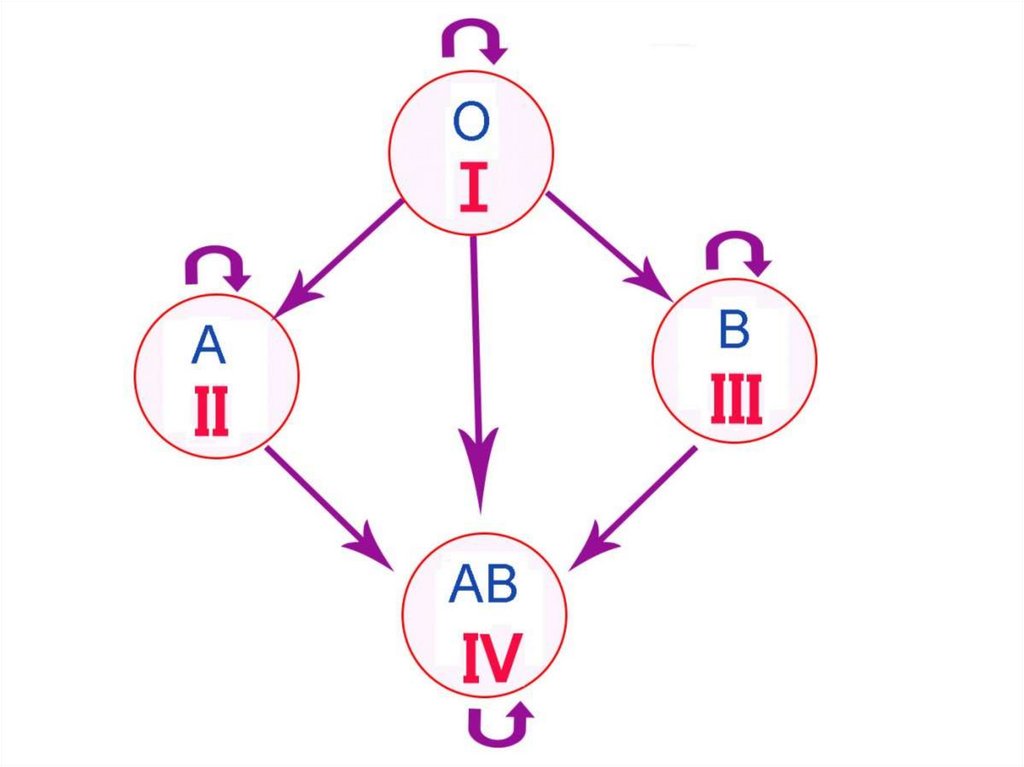 Схема переливания групп крови