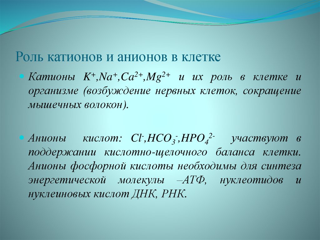 Какие минеральные соли входят состав живых организмов. Функции катионов и анионов в организме. Катионы и анионы клетки.