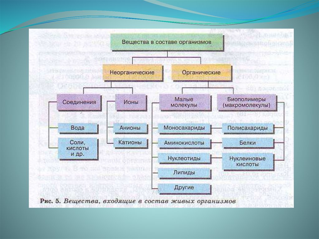 Вещества органические и неорганические схема