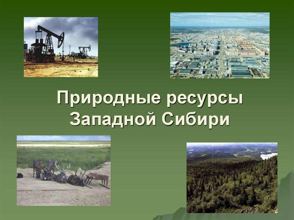 Презентация на тему ресурс. Минеральные природные ресурсы Западной Сибири. Ресурсы Западно сибирской равнины. Природные богатства Западной Сибири. Западная Сибирь Сибирь природные ресурсы.