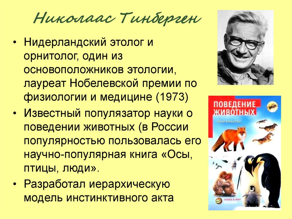 Этология. Николаас Тинберген. Тинберген этология. Николас Тинберген этология. Лоренц и Тинберген этология.