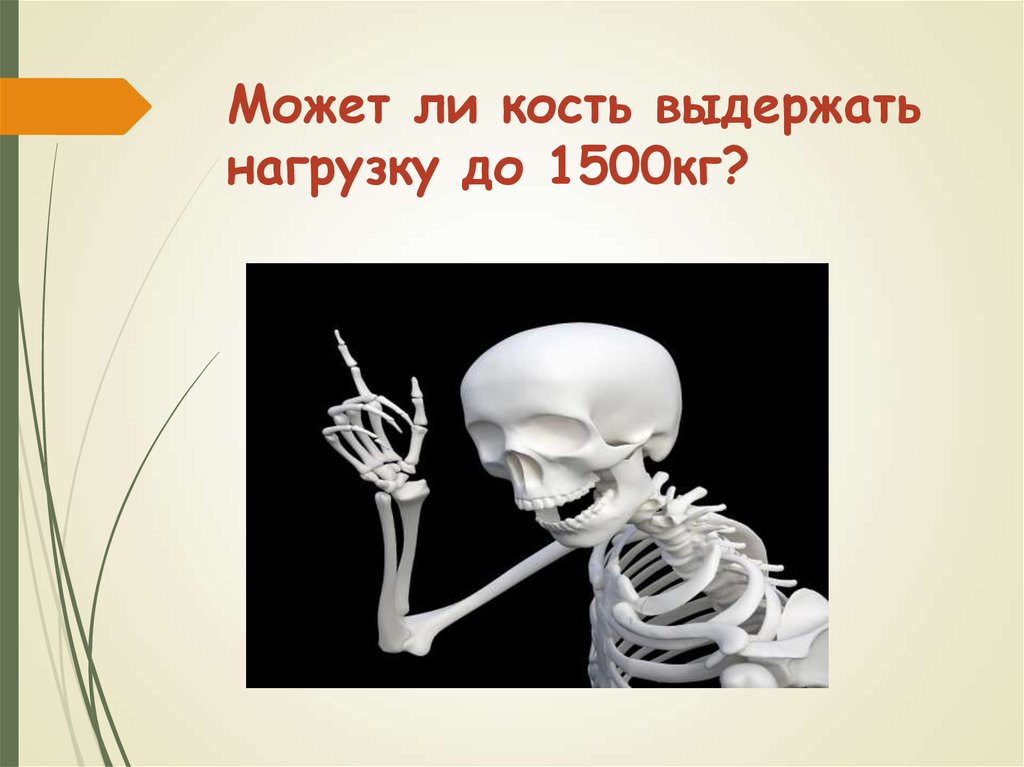 Химические свойства костей человека. Свойства костей человека. Физические свойства костей человека. Что могут выдержать кости. Химические и физические свойства костей.