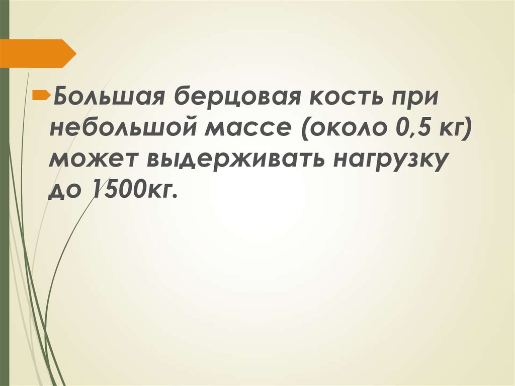 Вес около. Сколько может выдержать кость человека кг. Какой вес выдерживает большая берцовая. Сколько кг может выдержать берцовая кость у мужчин.