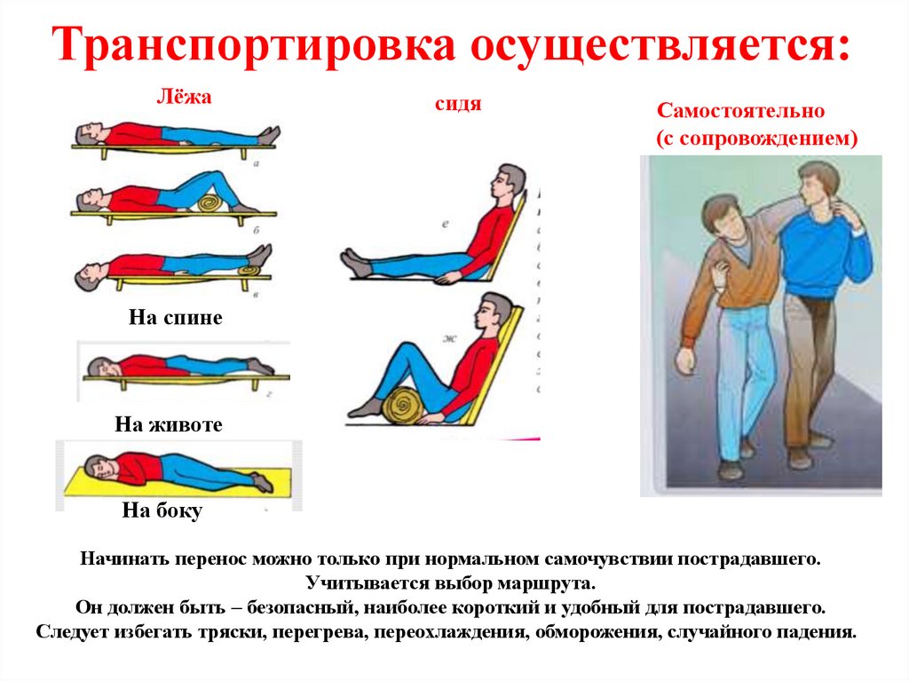 Общие правила транспортировки пострадавшего обж 7 класс презентация