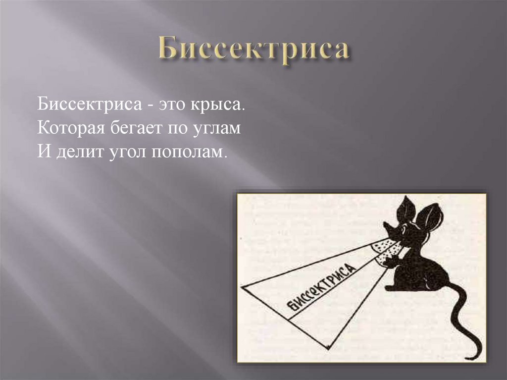 Вершина делит угол пополам. Биссектриса это крыса которая бегает по углам и делит угол пополам. Биссектриса это крыса. Крыса делит угол пополам. Стишок про биссектрису.