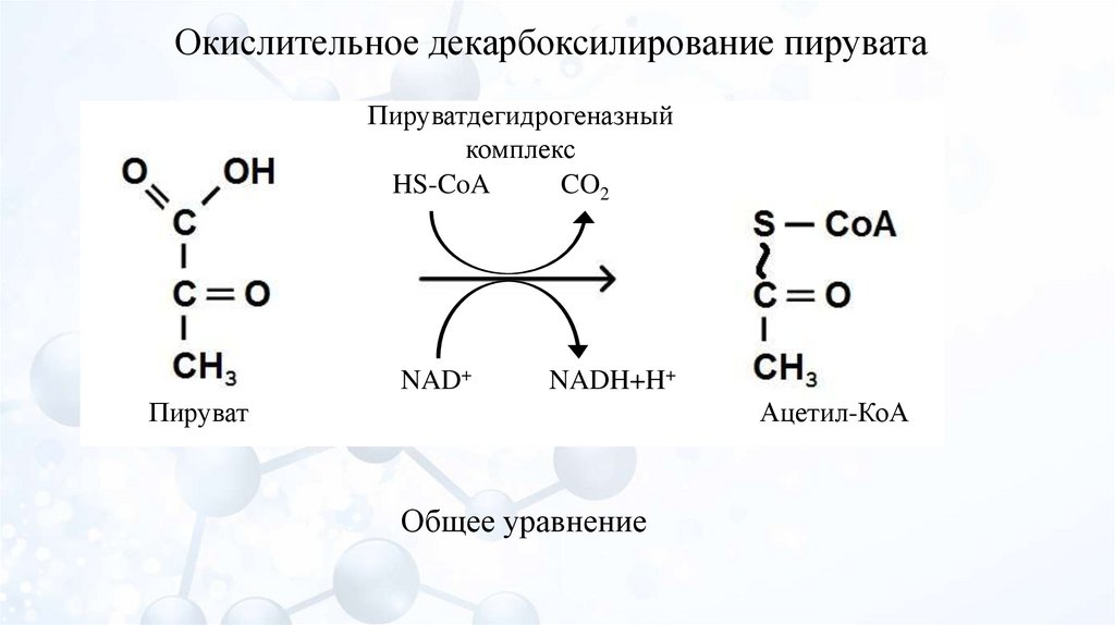 Декарбоксилирование пирувата