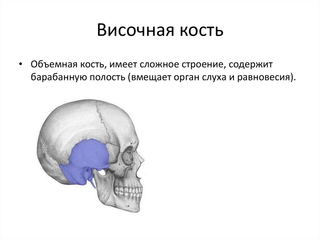 Проникающая в полость черепа